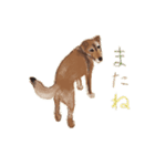 犬のゴン（個別スタンプ：23）