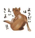 犬のゴン（個別スタンプ：31）