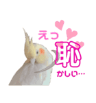 おかめのひまちゃん（個別スタンプ：8）