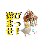 おかめのひまちゃん（個別スタンプ：19）