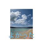 ゆうといんおきなわ（個別スタンプ：6）