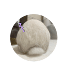 うさぎのやまいも(博多弁)（個別スタンプ：3）