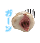 ぬこ家のぬこ日常（個別スタンプ：7）