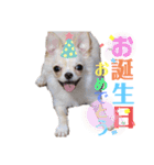 おもちスタンプ第2弾！（個別スタンプ：5）