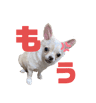 おもちスタンプ第2弾！（個別スタンプ：11）