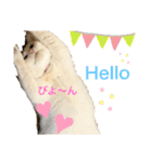 スノーの日常3（個別スタンプ：1）