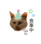 スノーの日常3（個別スタンプ：8）