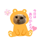 スノーの日常3（個別スタンプ：12）