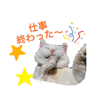 スノーの日常3（個別スタンプ：13）