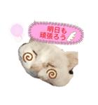 スノーの日常3（個別スタンプ：16）