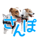 チョコミント2（個別スタンプ：1）