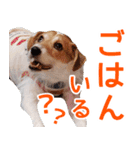チョコミント2（個別スタンプ：2）