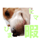 チョコミント2（個別スタンプ：3）