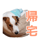 チョコミント2（個別スタンプ：4）