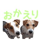 チョコミント2（個別スタンプ：5）