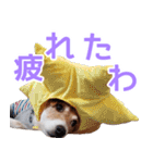 チョコミント2（個別スタンプ：6）
