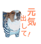 チョコミント2（個別スタンプ：7）