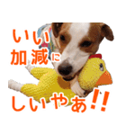 チョコミント2（個別スタンプ：9）