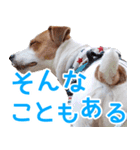 チョコミント2（個別スタンプ：12）