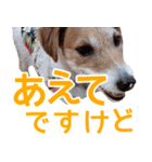 チョコミント2（個別スタンプ：18）