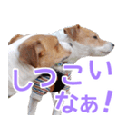 チョコミント2（個別スタンプ：21）