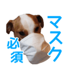チョコミント2（個別スタンプ：23）