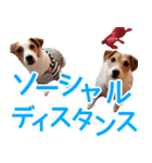 チョコミント2（個別スタンプ：24）