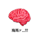 話す脳（個別スタンプ：37）