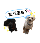 かわいみが深い（個別スタンプ：3）