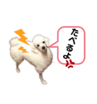 かわいみが深い（個別スタンプ：5）