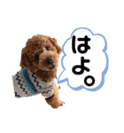 かわいみが深い（個別スタンプ：7）