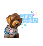 かわいみが深い（個別スタンプ：12）