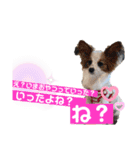 かわいみが深い（個別スタンプ：13）