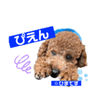 かわいみが深い（個別スタンプ：14）