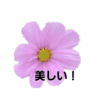 かわいい一言集1（個別スタンプ：4）