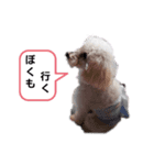 かわいい一言集1（個別スタンプ：5）