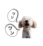 かわいい一言集1（個別スタンプ：6）