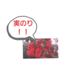 かわいい一言集1（個別スタンプ：8）