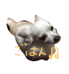 ジャック先輩（個別スタンプ：3）
