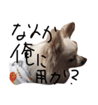 ジャック先輩（個別スタンプ：8）