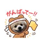 我が家のぽん太（個別スタンプ：1）