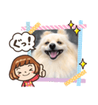 我が家のぽん太（個別スタンプ：3）