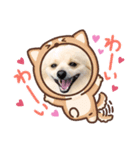我が家のぽん太（個別スタンプ：7）