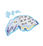 あずまのいかのすたんぷ（個別スタンプ：19）