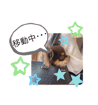チャックだよ〜 second season（個別スタンプ：13）