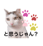 チャックだよ〜 second season（個別スタンプ：14）