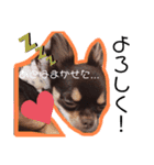 チャックだよ〜 second season（個別スタンプ：19）
