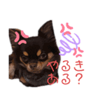 チャックだよ〜 second season（個別スタンプ：20）