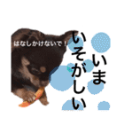 チャックだよ〜 second season（個別スタンプ：21）