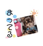 チャックだよ〜 second season（個別スタンプ：25）